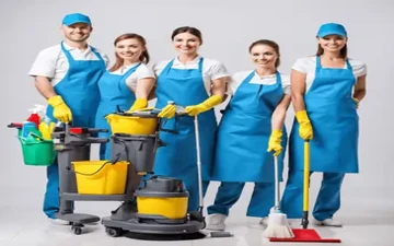Professional Domestic Staff Services Image One